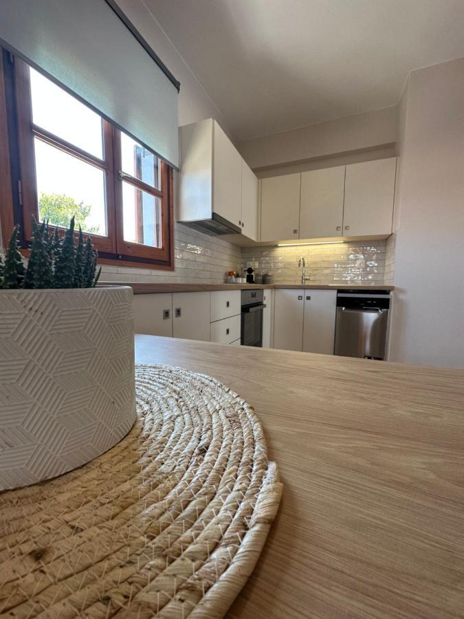 Kavos Apartments Alonissos 帕蒂迪里奥 外观 照片